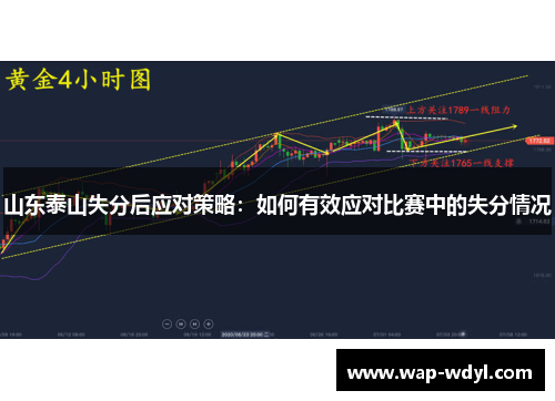 山东泰山失分后应对策略：如何有效应对比赛中的失分情况