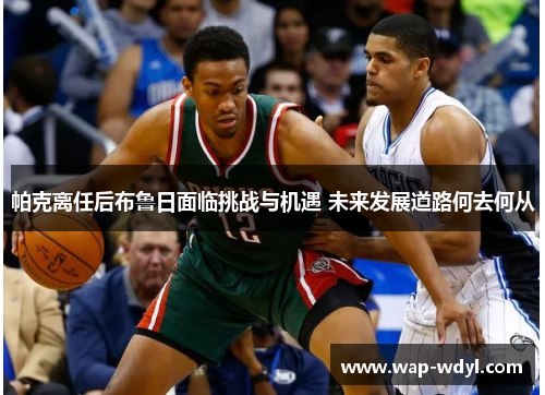 帕克离任后布鲁日面临挑战与机遇 未来发展道路何去何从 帕克离任后布鲁日面临挑战与机遇 未来发展道路何去何从