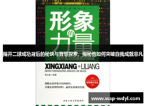 揭开二球成功背后的秘诀与智慧探索，揭秘他如何突破自我成就非凡