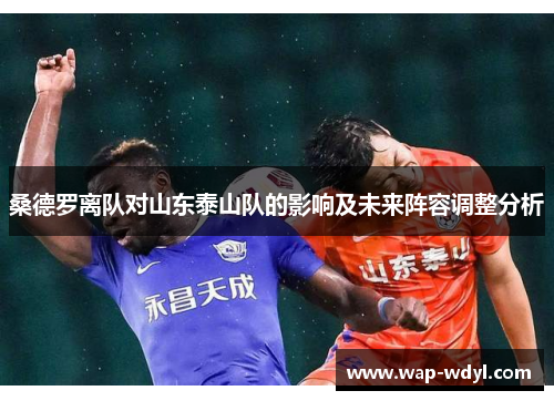 桑德罗离队对山东泰山队的影响及未来阵容调整分析 桑德罗离队对山东泰山队的影响及未来阵容调整分析