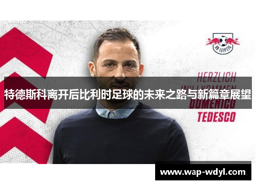 特德斯科离开后比利时足球的未来之路与新篇章展望 特德斯科离开后比利时足球的未来之路与新篇章展望