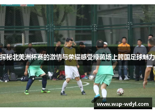探秘北美洲杯赛的激情与荣耀感受绿茵场上跨国足球魅力