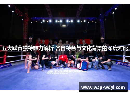 五大联赛独特魅力解析 各自特色与文化背景的深度对比